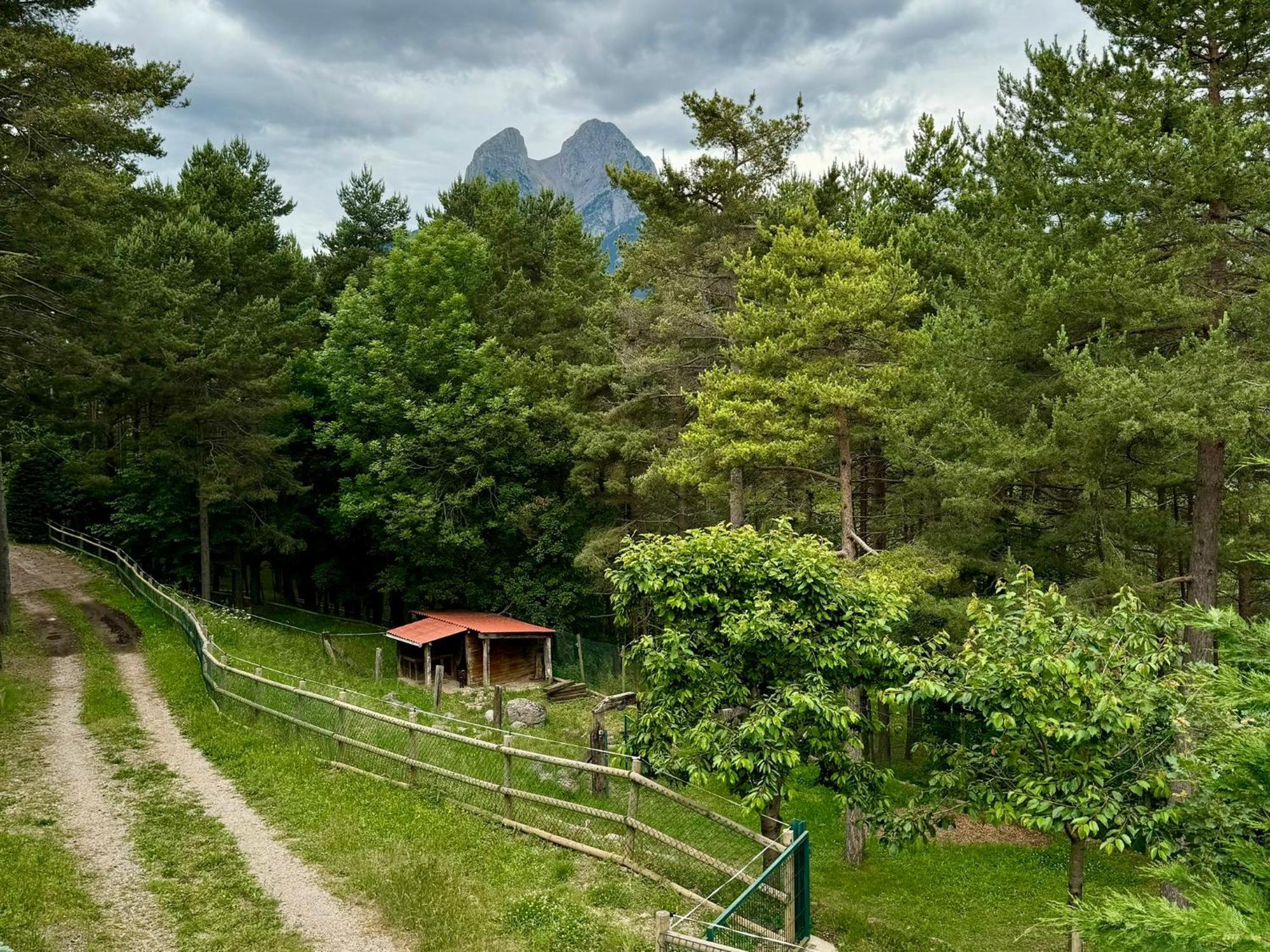 Villa Cal Roig - Pedraforca Saldés Esterno foto